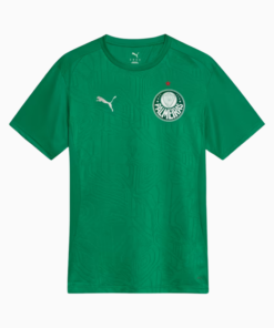Camisa Palmeiras 2025 – Treino