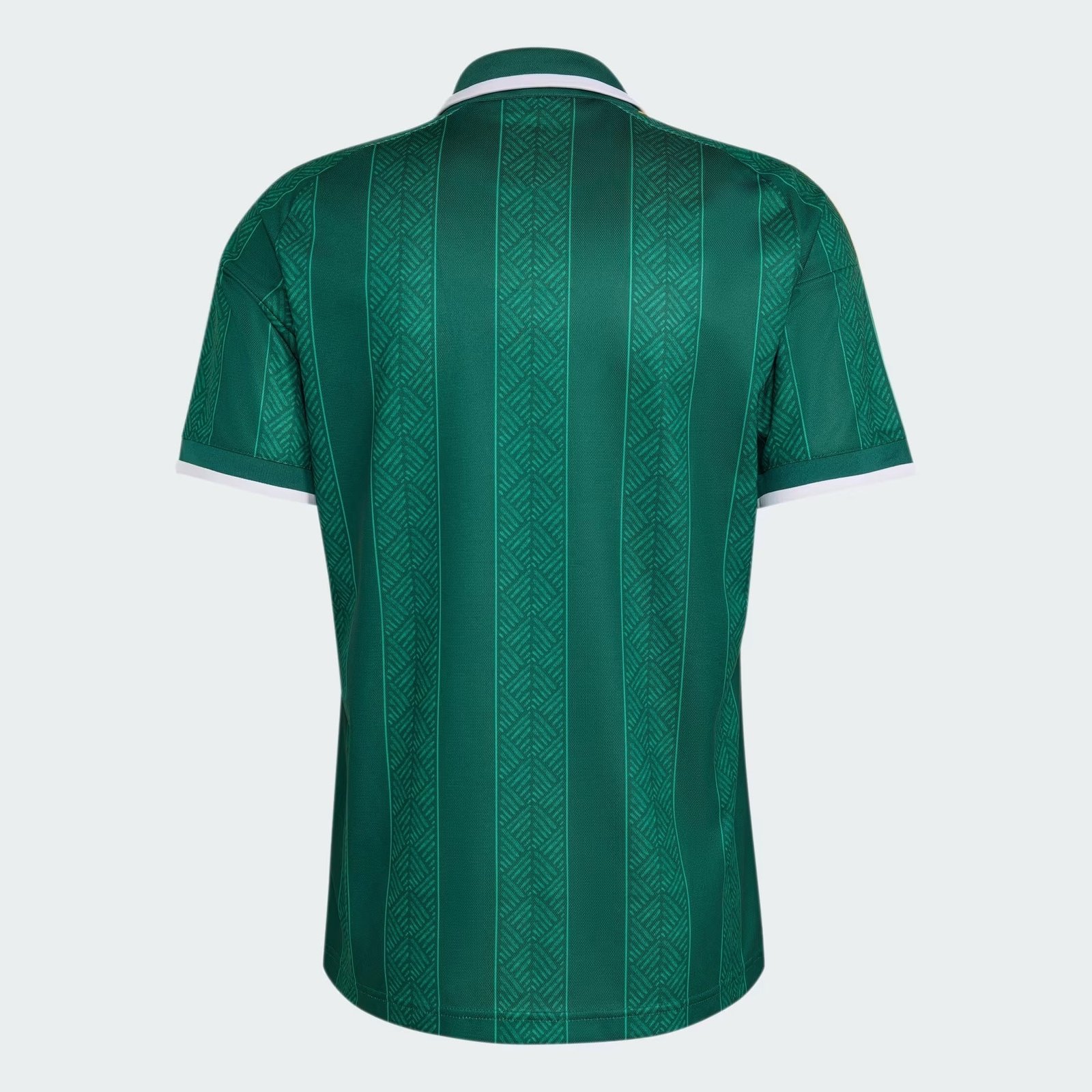 Camisa África do Sul 2026/27 I - Imagem 6