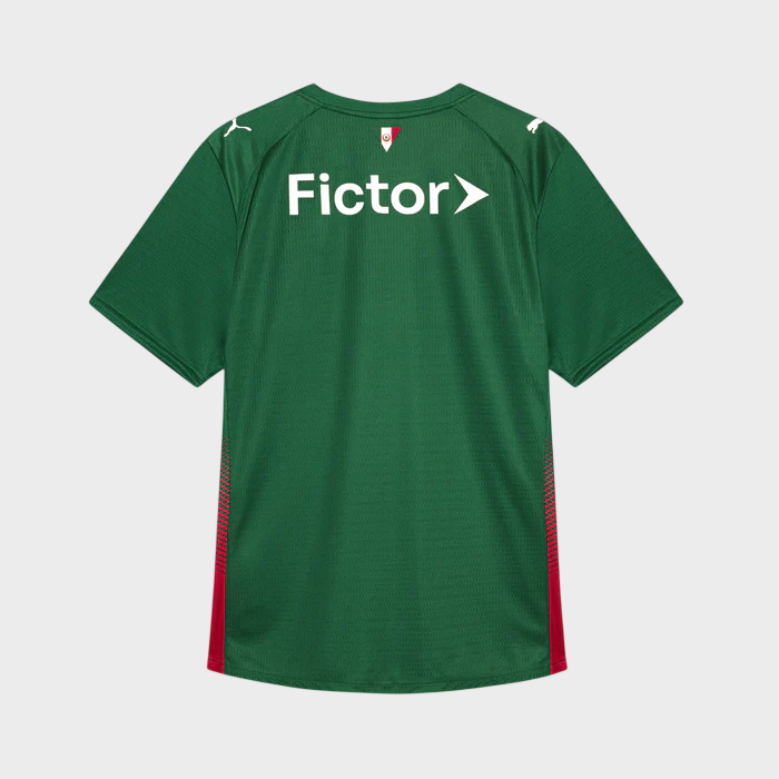 Camisa Palmeiras I 26/27 - Torcedor Puma Masculina - Verde - Imagem 5